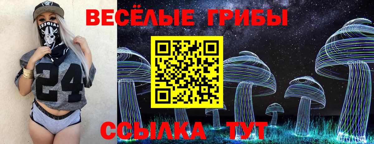 Златоуст  Псилоцибиновые грибы Psilocybine cubensis  Вход с VPN 